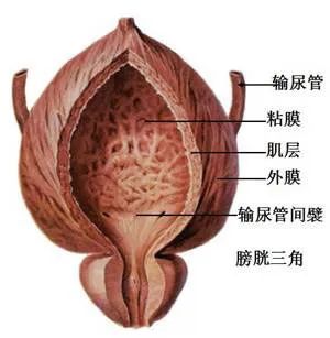 微信图片_20220323104400.jpg